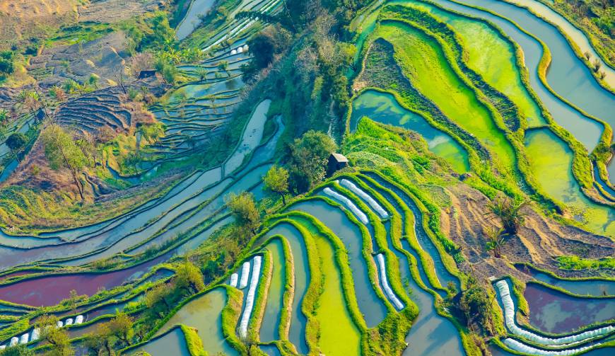 宝妈必备神器：多伦县产品视频拍摄轻松育儿好帮手